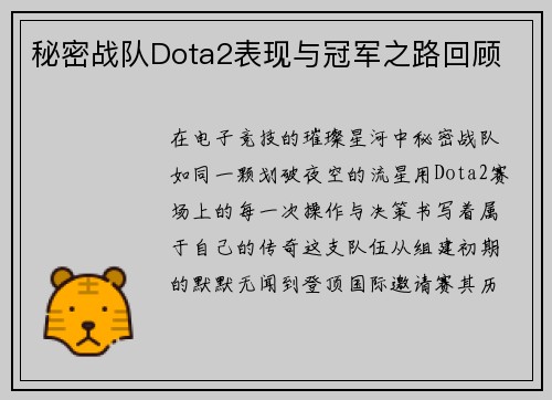 秘密战队Dota2表现与冠军之路回顾