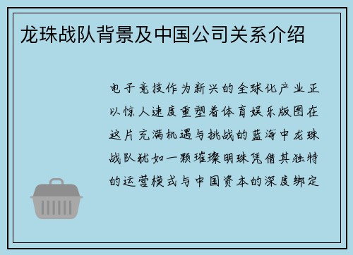 龙珠战队背景及中国公司关系介绍